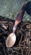 FOR THE CHIMNEY STEEPS II - Wooden Small Spoon from European Birch 1.jpg